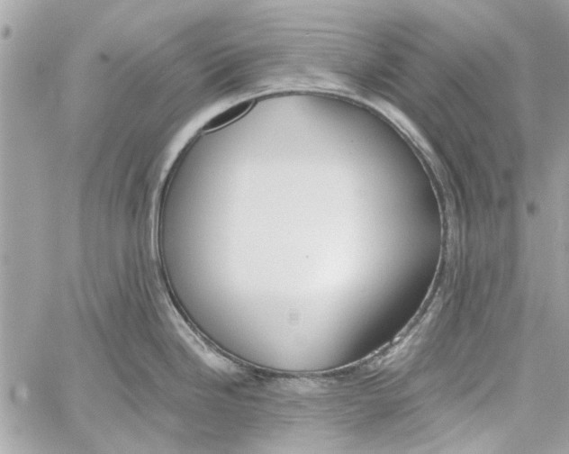 X0000059841246200511181505