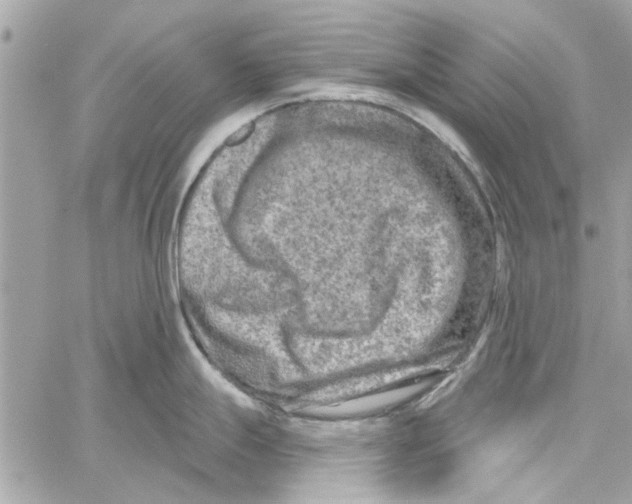 X0000059841247200511181505