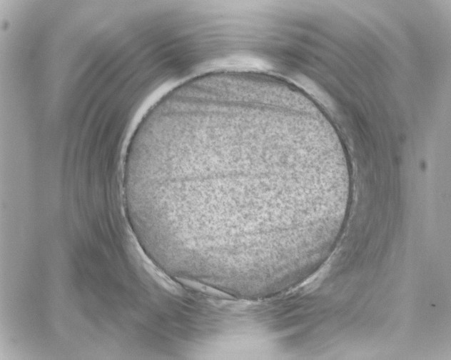 X0000059841248200511181505