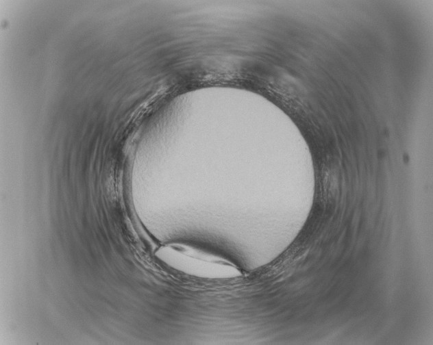 X0000059841250200511181504