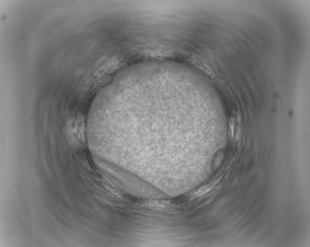 X0000059841251200511181504