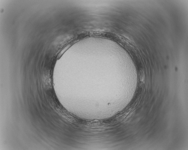 X0000059841252200511181504