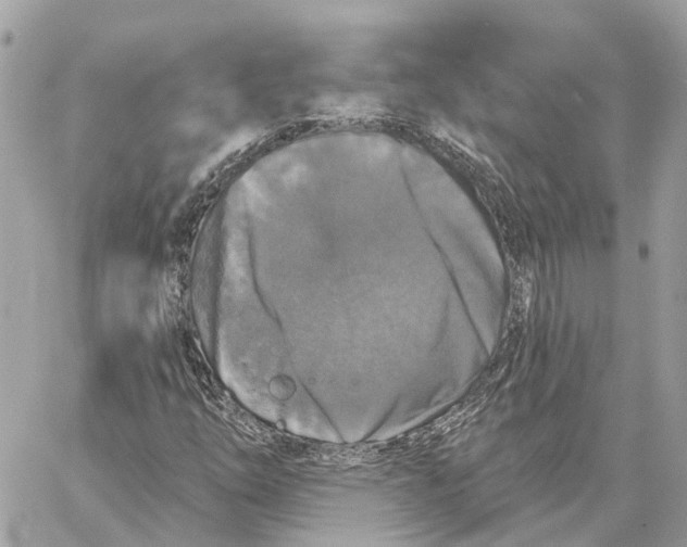 X0000059841254200511181504