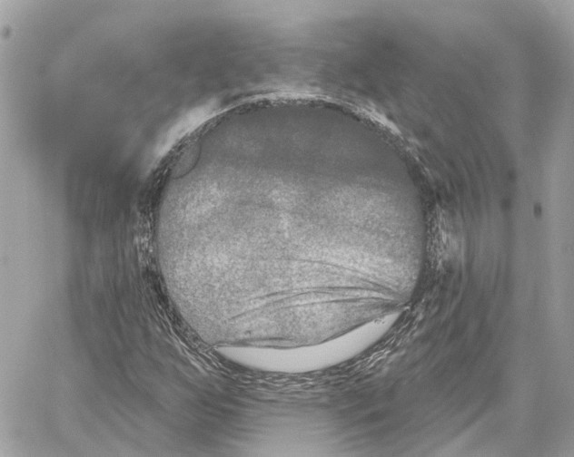 X0000059841255200511181504