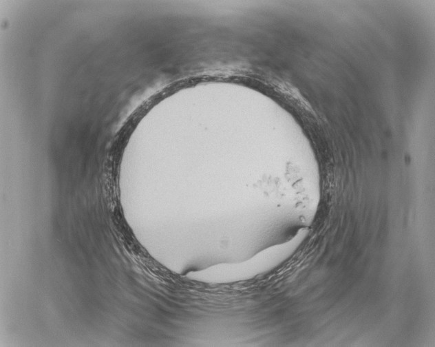 X0000059841256200511181504