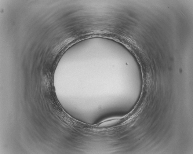 X0000059841257200511181504