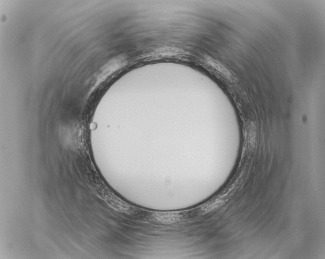 X0000059841258200511181504