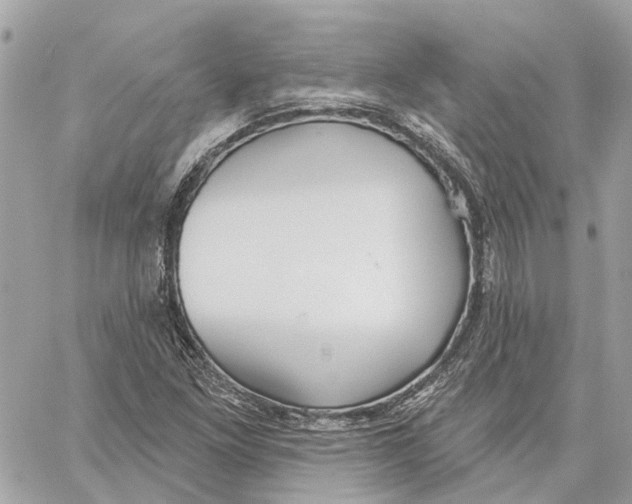 X0000059841261200511181504