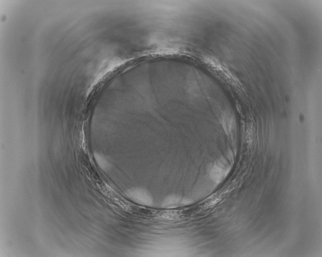 X0000059841262200511181504