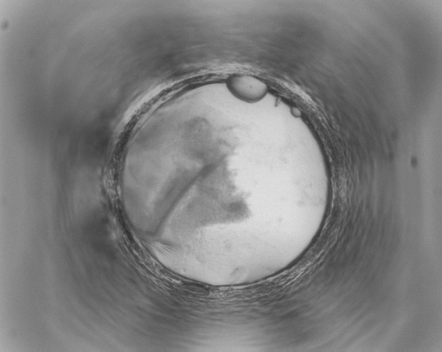 X0000059841263200511181504