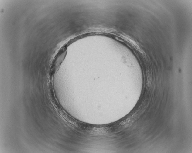 X0000059841264200511181504