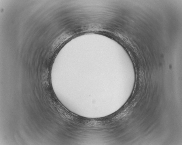 X0000059841265200511181504