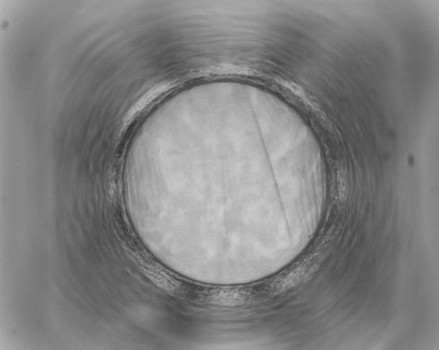 X0000059841266200511181504