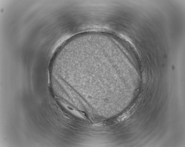 X0000059841267200511181504