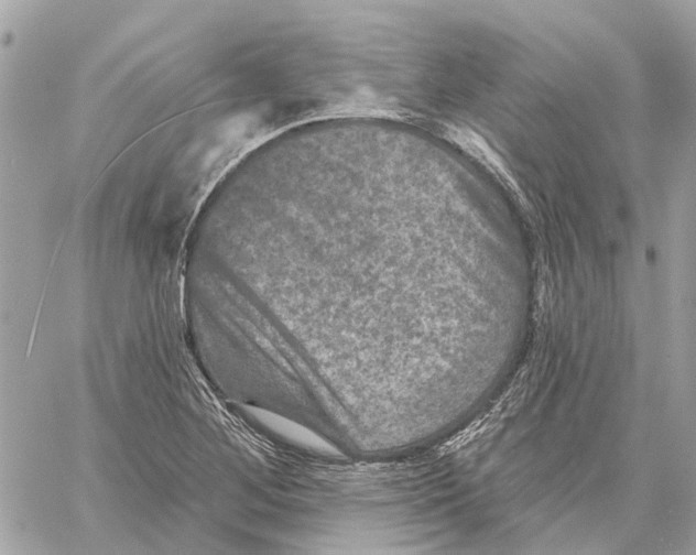 X0000059841268200511181504