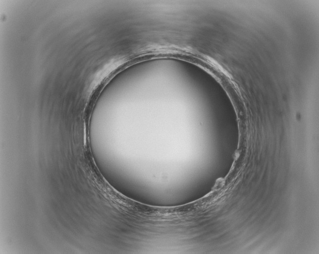 X0000059841269200511181504