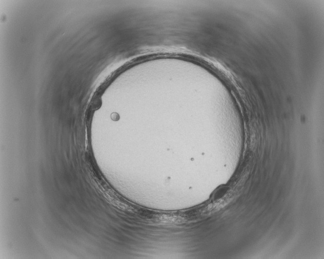 X0000059841271200511181504