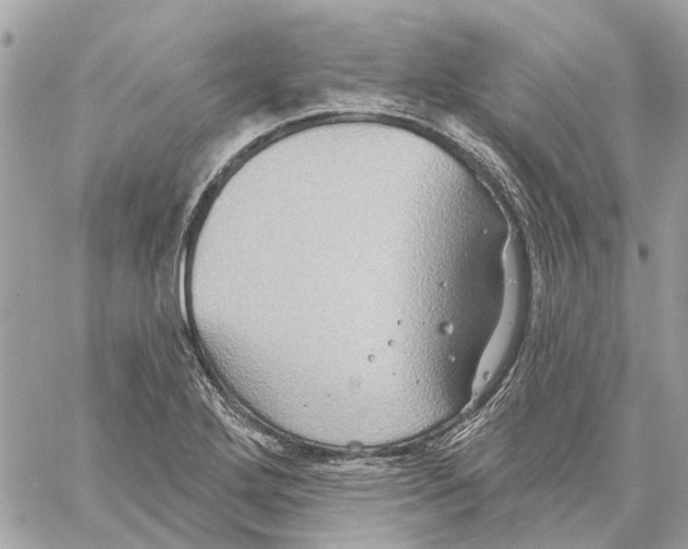 X0000059841272200511181504