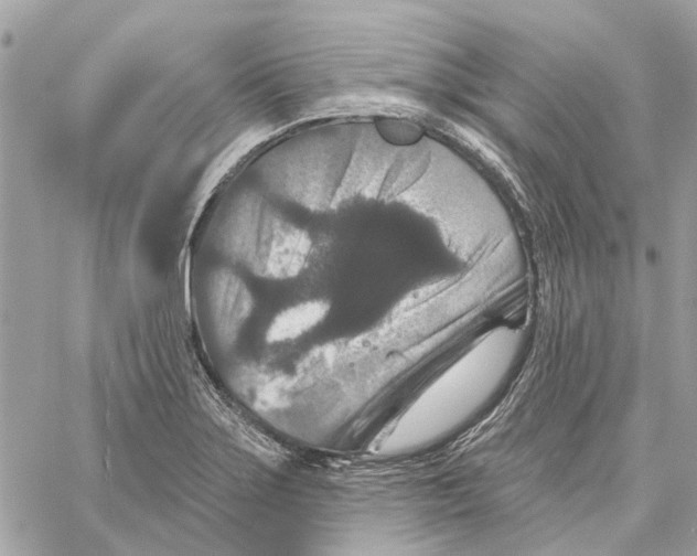 X0000059841275200511181504