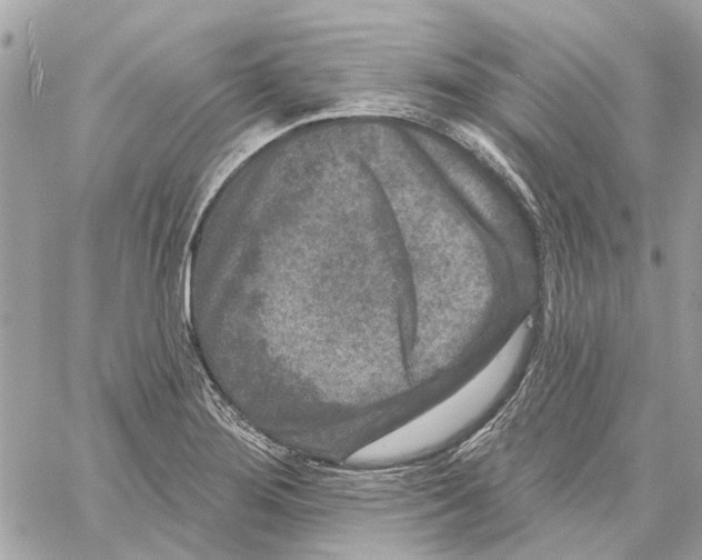 X0000059841276200511181504