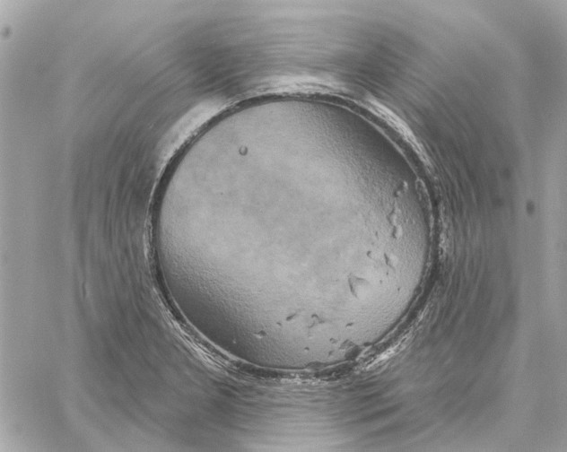 X0000059841277200511181504