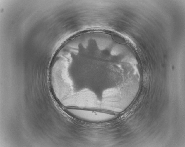 X0000059841279200511181504