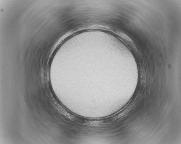 X0000059841280200511181504