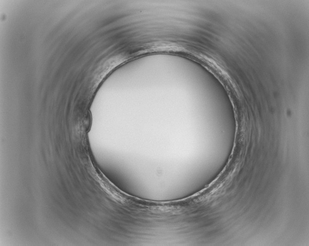 X0000059841281200511181504