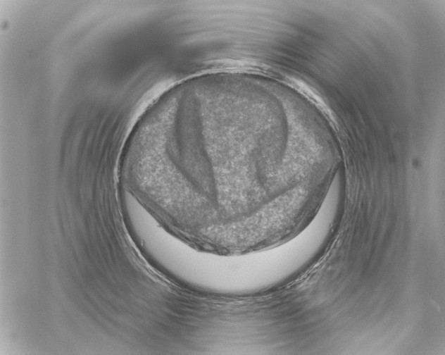 X0000059841283200511181504