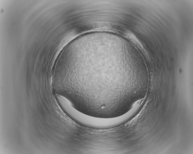 X0000059841284200511181504