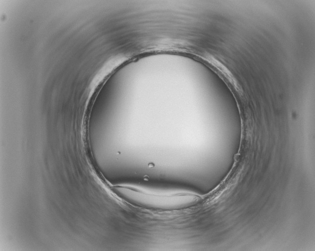 X0000059841285200511181504