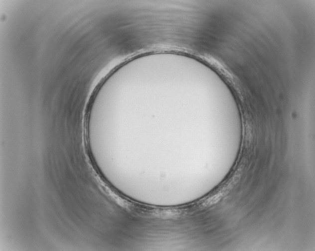 X0000059841286200511181504