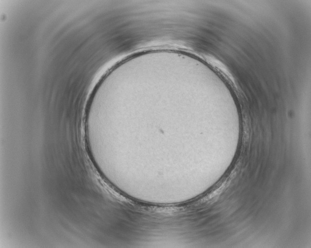 X0000059841288200511181504