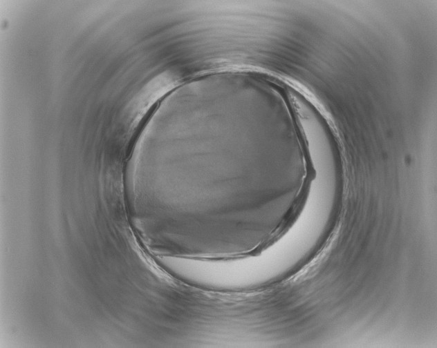 X0000059841289200511181503