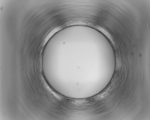 X0000059841290200511181503