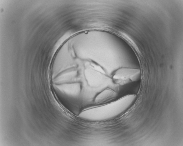 X0000059841291200511181503