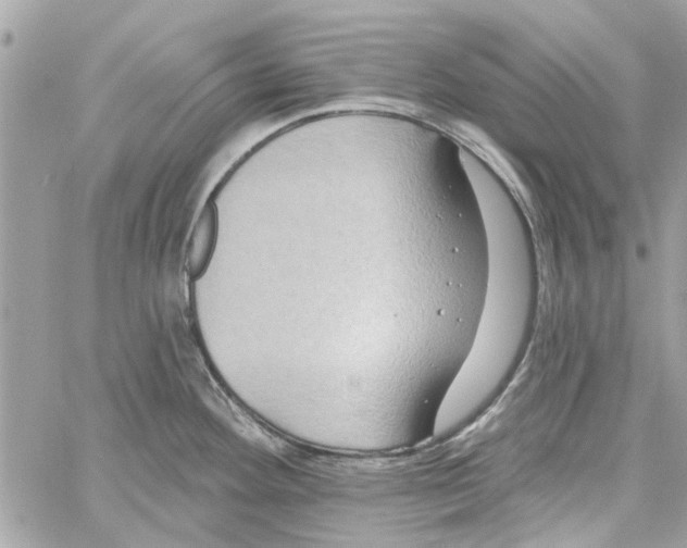 X0000059841292200511181503