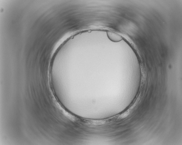 X0000059841294200511181503