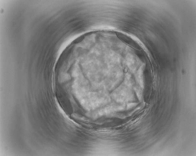 X0000059841295200511181503