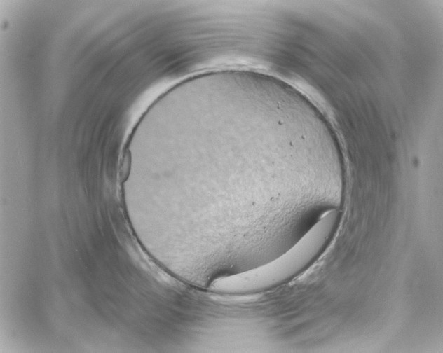 X0000059841296200511181503