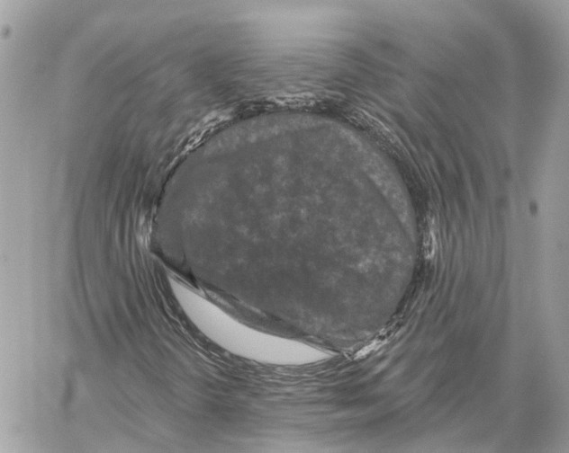 X0000059841298200511181503