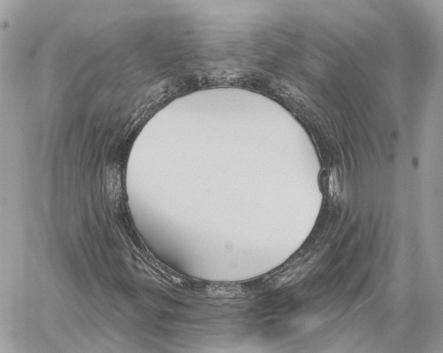 X0000059841299200511181503