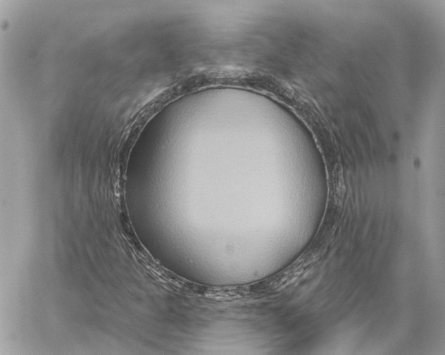 X0000059841301200511181503