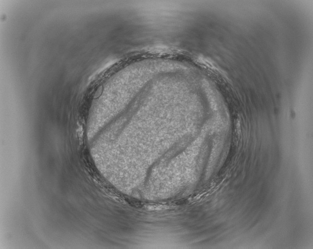 X0000059841302200511181503