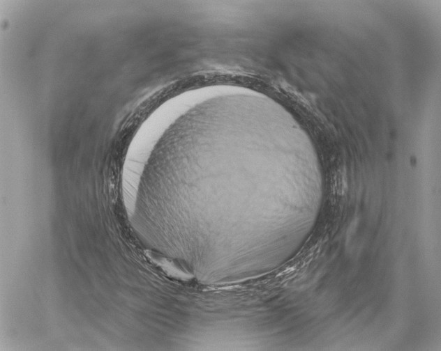 X0000059841303200511181503