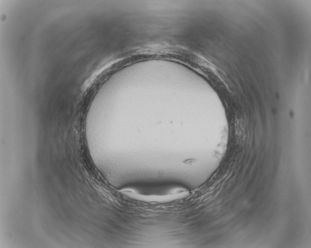 X0000059841304200511181503