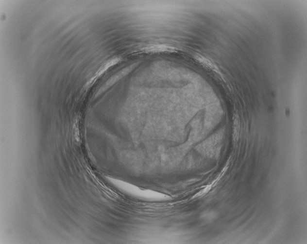 X0000059841305200511181503