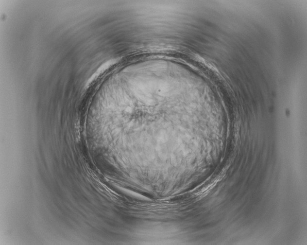 X0000059841306200511181503