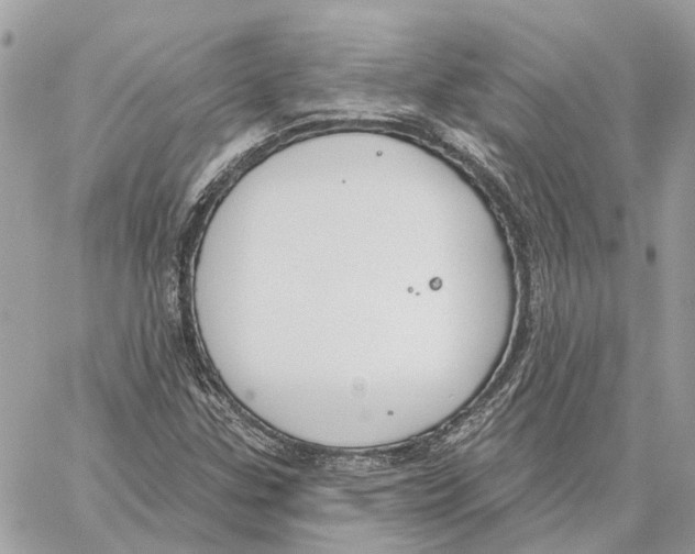 X0000059841307200511181503