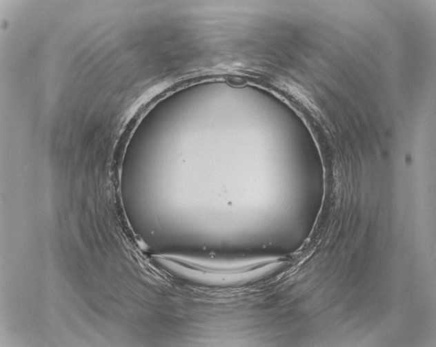 X0000059841308200511181503